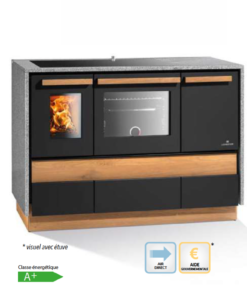 Bspc cuisinière à bois