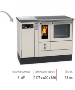 bspc cuisiniére a bois et granulés